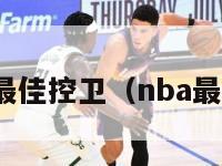 nba历史最佳控卫（nba最厉害控卫）-第1张图片-足球直播_足球免费在线高清直播_足球视频在线观看无插件-24直播网