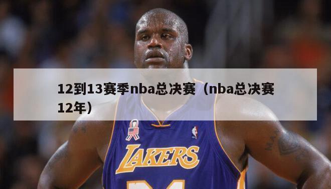 12到13赛季nba总决赛（nba总决赛12年）-第1张图片-足球直播_足球免费在线高清直播_足球视频在线观看无插件-24直播网