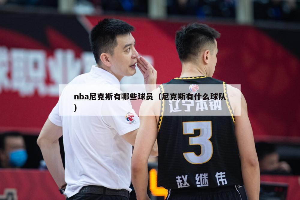 nba尼克斯有哪些球员（尼克斯有什么球队）-第1张图片-足球直播_足球免费在线高清直播_足球视频在线观看无插件-24直播网