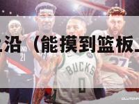 能摸到篮板上沿（能摸到篮板上沿的NBA球星）-第1张图片-足球直播_足球免费在线高清直播_足球视频在线观看无插件-24直播网