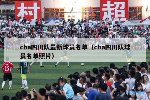 cba四川队最新球员名单（cba四川队球员名单照片）-第1张图片-足球直播_足球免费在线高清直播_足球视频在线观看无插件-24直播网