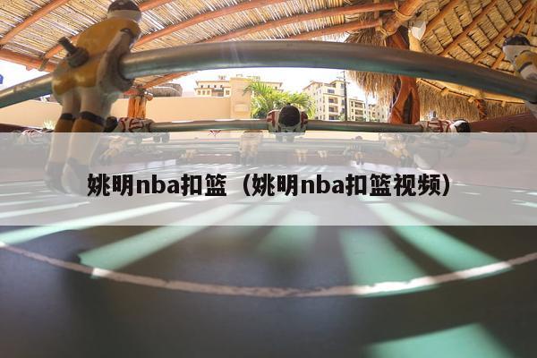 姚明nba扣篮（姚明nba扣篮视频）-第1张图片-足球直播_足球免费在线高清直播_足球视频在线观看无插件-24直播网