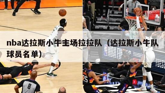 nba达拉斯小牛主场拉拉队（达拉斯小牛队球员名单）-第1张图片-足球直播_足球免费在线高清直播_足球视频在线观看无插件-24直播网