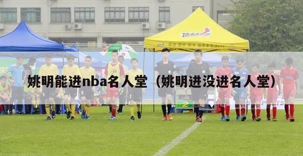 姚明能进nba名人堂（姚明进没进名人堂）-第1张图片-足球直播_足球免费在线高清直播_足球视频在线观看无插件-24直播网