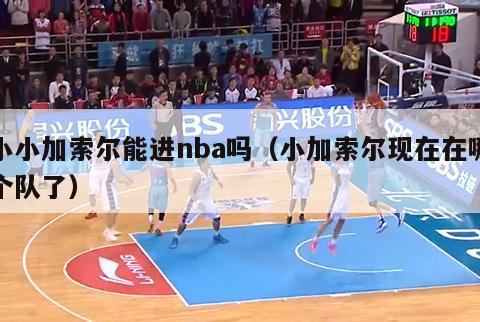 小小加索尔能进nba吗（小加索尔现在在哪个队了）-第1张图片-足球直播_足球免费在线高清直播_足球视频在线观看无插件-24直播网