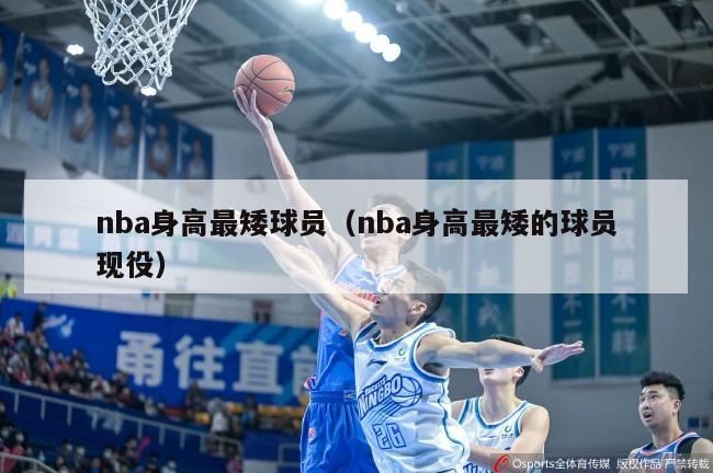 nba身高最矮球员（nba身高最矮的球员现役）-第1张图片-足球直播_足球免费在线高清直播_足球视频在线观看无插件-24直播网