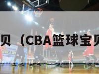 cba篮球宝贝（CBA篮球宝贝年薪多少）-第1张图片-足球直播_足球免费在线高清直播_足球视频在线观看无插件-24直播网