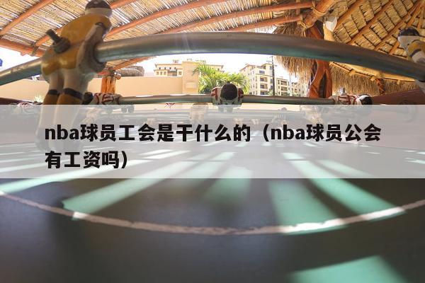 nba球员工会是干什么的（nba球员公会有工资吗）-第1张图片-足球直播_足球免费在线高清直播_足球视频在线观看无插件-24直播网