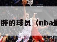 nba史上最胖的球员（nba最胖的后卫）-第1张图片-足球直播_足球免费在线高清直播_足球视频在线观看无插件-24直播网