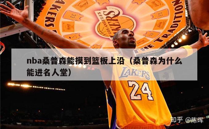 nba桑普森能摸到篮板上沿（桑普森为什么能进名人堂）-第1张图片-足球直播_足球免费在线高清直播_足球视频在线观看无插件-24直播网