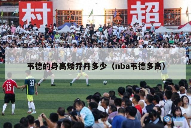 韦德的身高矮乔丹多少（nba韦德多高）-第1张图片-足球直播_足球免费在线高清直播_足球视频在线观看无插件-24直播网