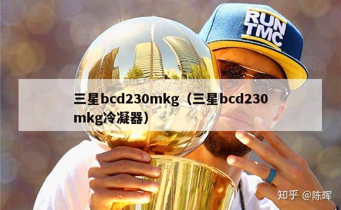 三星bcd230mkg（三星bcd230mkg冷凝器）-第1张图片-足球直播_足球免费在线高清直播_足球视频在线观看无插件-24直播网