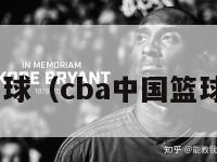 cba中国篮球（cba中国篮球网站官网）-第1张图片-足球直播_足球免费在线高清直播_足球视频在线观看无插件-24直播网