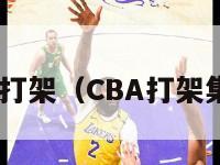 cba打架（CBA打架集锦）-第1张图片-足球直播_足球免费在线高清直播_足球视频在线观看无插件-24直播网