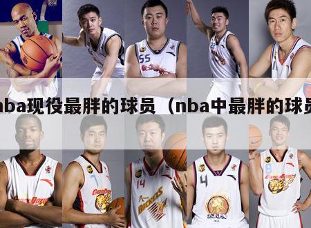 nba现役最胖的球员（nba中最胖的球员）-第1张图片-足球直播_足球免费在线高清直播_足球视频在线观看无插件-24直播网