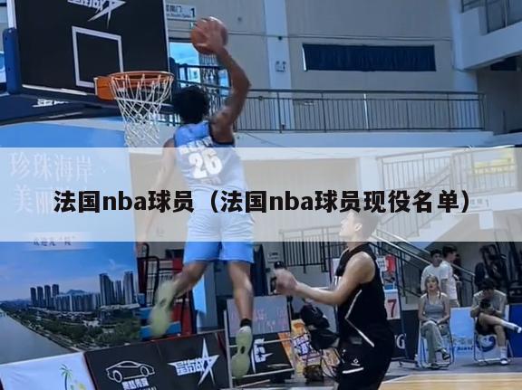 法国nba球员（法国nba球员现役名单）-第1张图片-足球直播_足球免费在线高清直播_足球视频在线观看无插件-24直播网