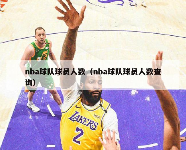 nba球队球员人数（nba球队球员人数查询）-第1张图片-足球直播_足球免费在线高清直播_足球视频在线观看无插件-24直播网