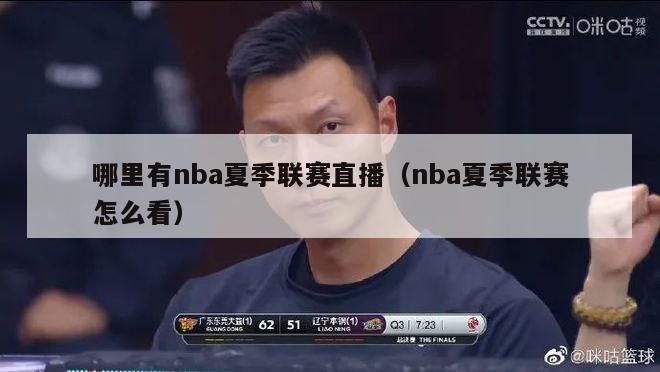 哪里有nba夏季联赛直播（nba夏季联赛怎么看）-第1张图片-足球直播_足球免费在线高清直播_足球视频在线观看无插件-24直播网