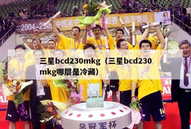 三星bcd230mkg（三星bcd230mkg哪层是冷藏）-第1张图片-足球直播_足球免费在线高清直播_足球视频在线观看无插件-24直播网