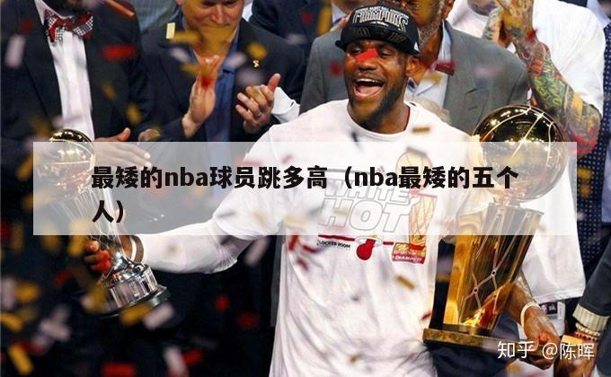 最矮的nba球员跳多高（nba最矮的五个人）-第1张图片-足球直播_足球免费在线高清直播_足球视频在线观看无插件-24直播网