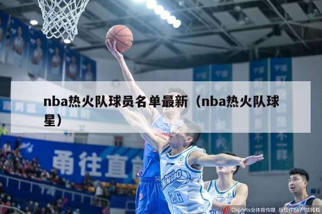 nba热火队球员名单最新（nba热火队球星）-第1张图片-足球直播_足球免费在线高清直播_足球视频在线观看无插件-24直播网