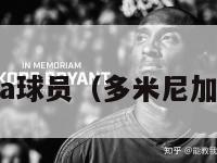 多米尼加nba球员（多米尼加篮球队成员）-第1张图片-足球直播_足球免费在线高清直播_足球视频在线观看无插件-24直播网