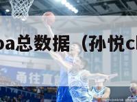 孙悦生涯nba总数据（孙悦cba生涯数据）-第1张图片-足球直播_足球免费在线高清直播_足球视频在线观看无插件-24直播网