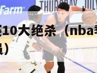 nba季后赛10大绝杀（nba季后赛绝杀最多的球员）-第1张图片-足球直播_足球免费在线高清直播_足球视频在线观看无插件-24直播网