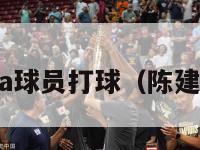 陈建州和nba球员打球（陈建州打球视频）-第1张图片-足球直播_足球免费在线高清直播_足球视频在线观看无插件-24直播网