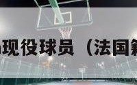 法国的nba现役球员（法国籍nba球星）