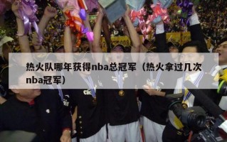 热火队哪年获得nba总冠军（热火拿过几次nba冠军）