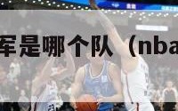 今年nba冠军是哪个队（nba今年谁是冠军2021）