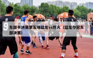 东部半决赛第五场猛龙vs热火（猛龙夺冠东部决赛）