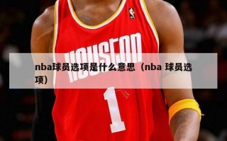 nba球员选项是什么意思（nba 球员选项）