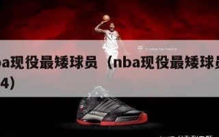 nba现役最矮球员（nba现役最矮球员2024）