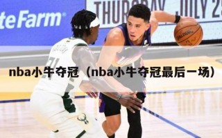 nba小牛夺冠（nba小牛夺冠最后一场）