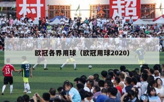 欧冠各界用球（欧冠用球2020）