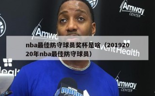 nba最佳防守球员奖杯是啥（20192020年nba最佳防守球员）