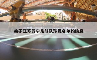 关于江苏苏宁足球队球员名单的信息