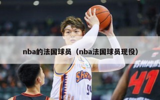 nba的法国球员（nba法国球员现役）