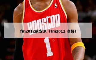 fm2012胡安米（fm2012 老将）