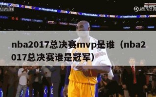 nba2017总决赛mvp是谁（nba2017总决赛谁是冠军）