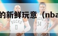 nba球员玩的新鲜玩意（nba球员都用什么篮球）