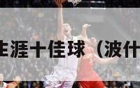 nba波什生涯十佳球（波什生涯总分）