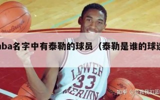 nba名字中有泰勒的球员（泰勒是谁的球迷）