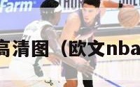 欧文绝杀高清图（欧文nba绝杀次数）