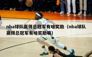 nba球队赢得总冠军有啥奖励（nba球队赢得总冠军有啥奖励嘛）