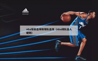 nba球员选项和球队选项（nba球队选人规则）