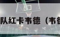 nba梦之队红卡韦德（韦德梦八队）