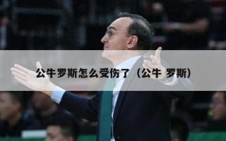 公牛罗斯怎么受伤了（公牛 罗斯）